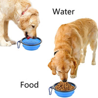Foldable Silicone Pet Feed Bowl